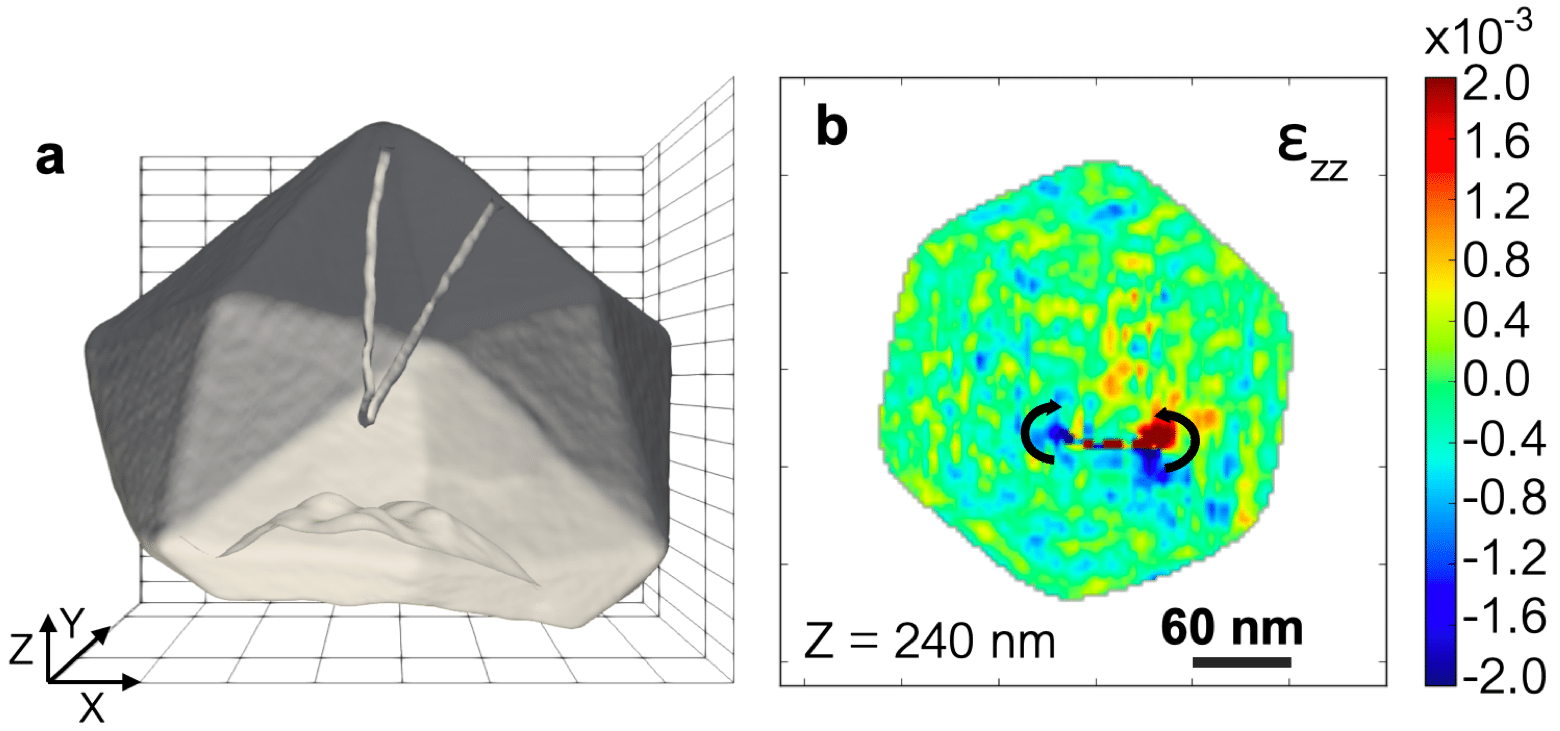 Figure 1: (a) Wireframe plots of the reconstructed electron density of a Pt particle drawn at 35% of the maximum density. A dislocation loop is evidenced. (b) Two-dimensional cut of the out-of-plane strain at a particle height of 240 nm.